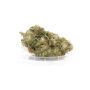 Sativa Poland Susz CBG ”KWIATY Z KOMBINATU” - 3